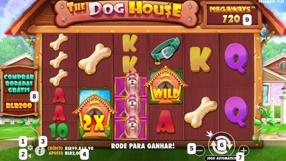 Como jogar o caça-níquel The Dog House Megaways