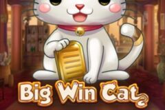 Big Win Cat por Play'n GO