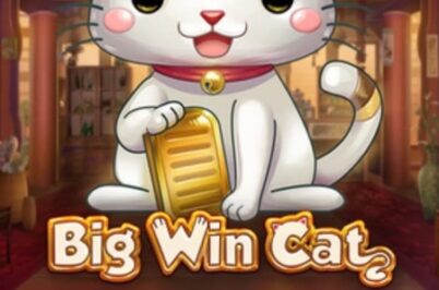 Big Win Cat por Play'n GO