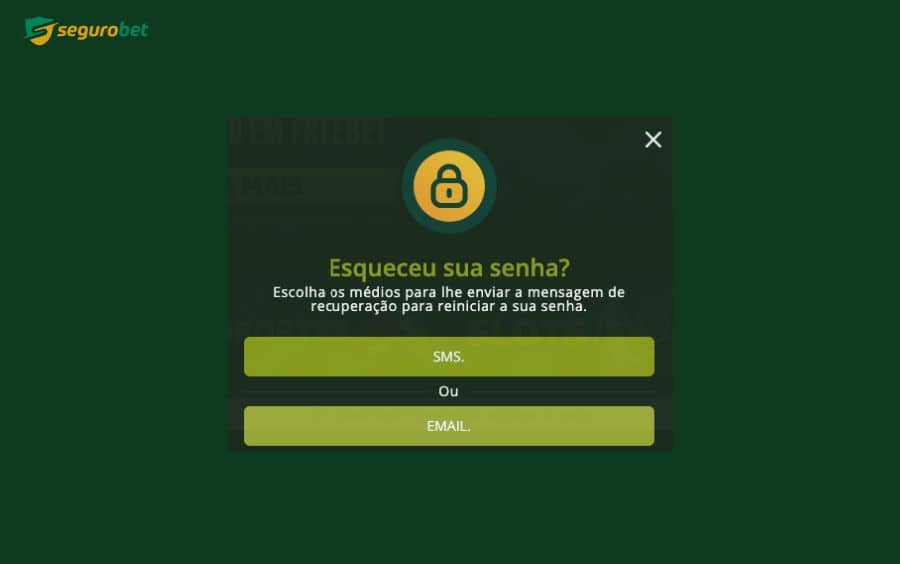 imagem de recuperaçao de senha da Seguro Bet Brasil.