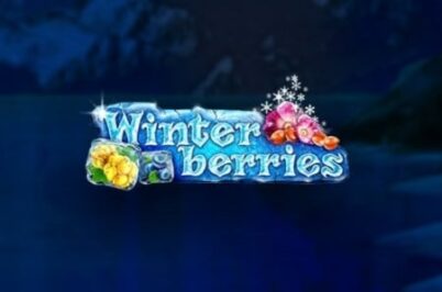 Winterberries por Yggdrasil