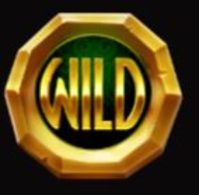 Símbolo Símbolo WILD slot Rainbow Ryan por Yggdrasil