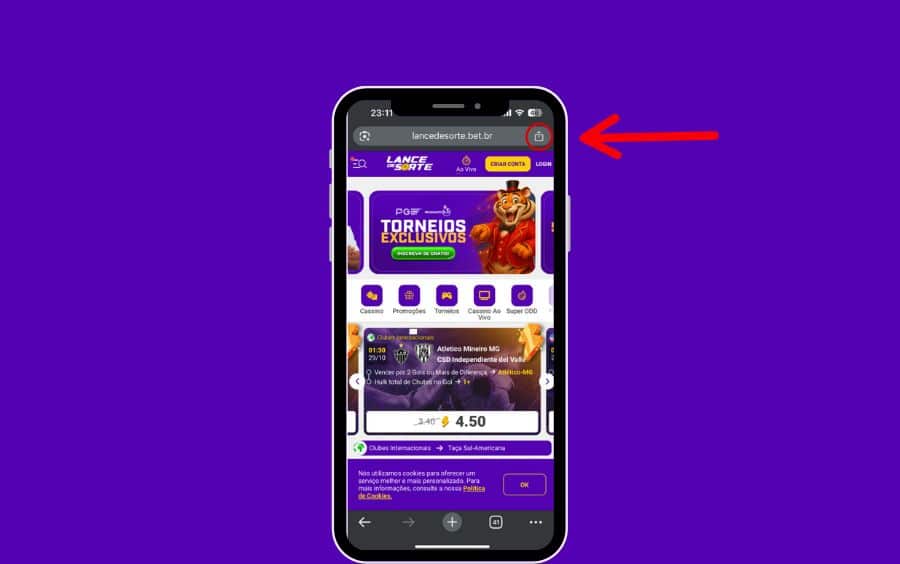 Tela do site Lance de Sorte no Safari, com um círculo vermelho destacando o ícone de compartilhamento na barra do navegador.