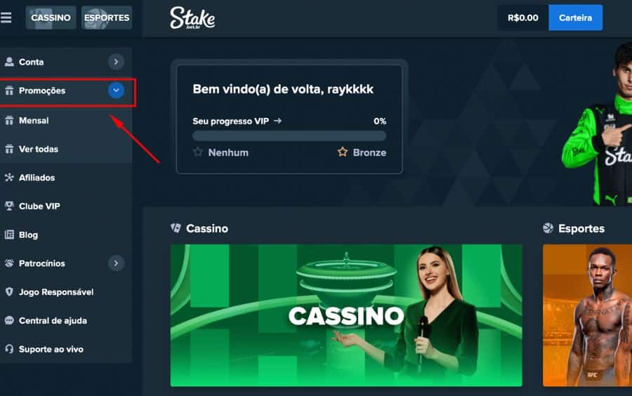 Captura de tela do menu principal da conta Stake, com uma seta vermelha apontando para a opção "Promoções" no menu lateral esquerdo.