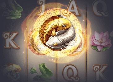 Giros Grátis de Par Koi