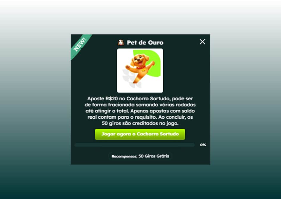 cachorro sortudo bigbet