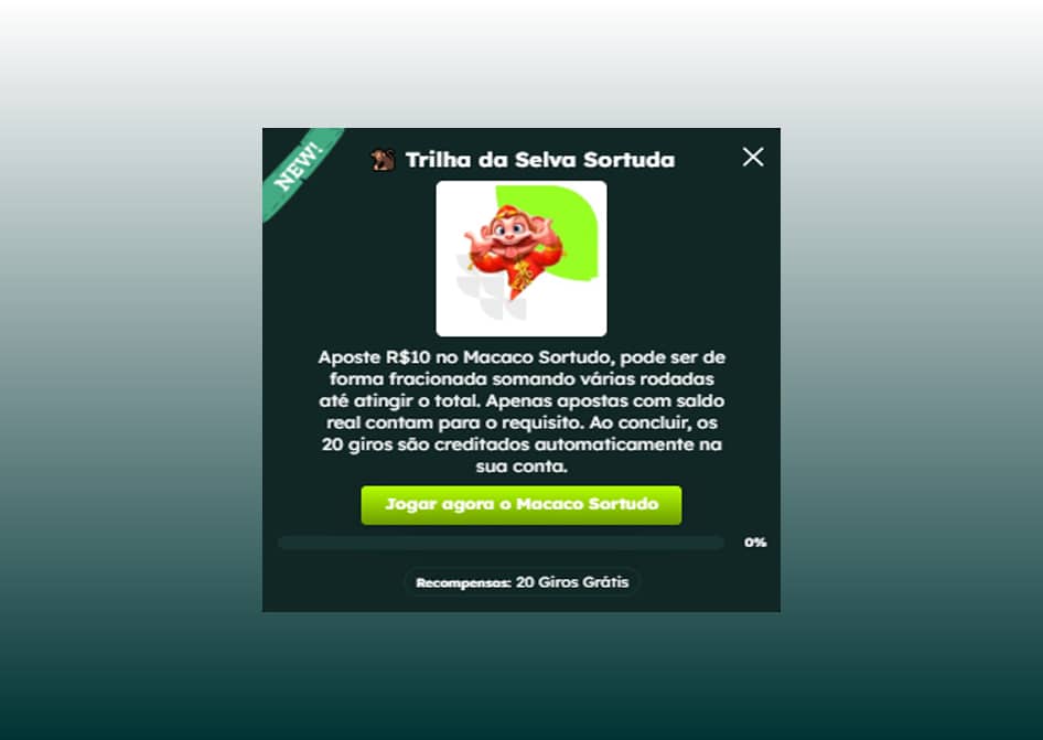 macaco sortudo bigbet