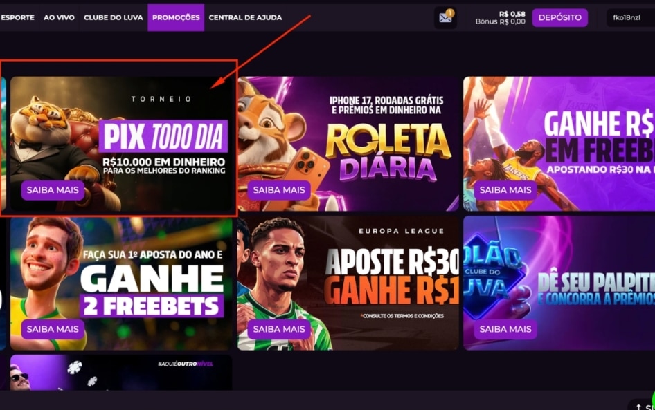 Tela da área de promoções mostrando onde acessar a promoção Pix Todo Dia Luva.bet na plataforma.