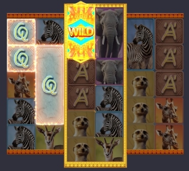 Rolos de Transformação Wild