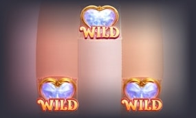 Transformação Wild