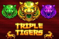 Triple Tigers por Pragmatic Play
